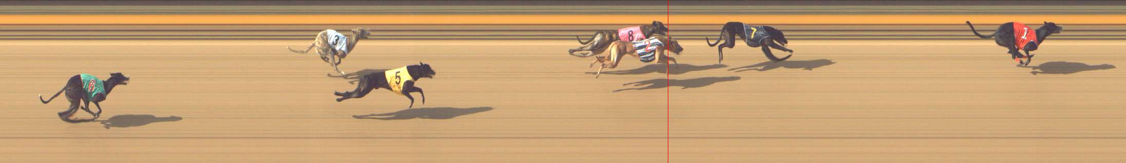 Photo finish for Shepparton Race 7