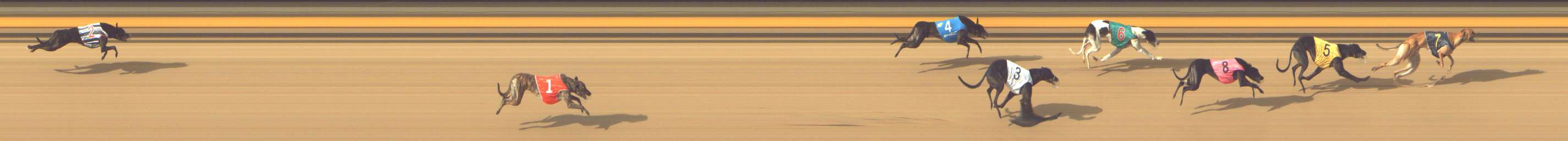 Photo finish for Shepparton Race 8