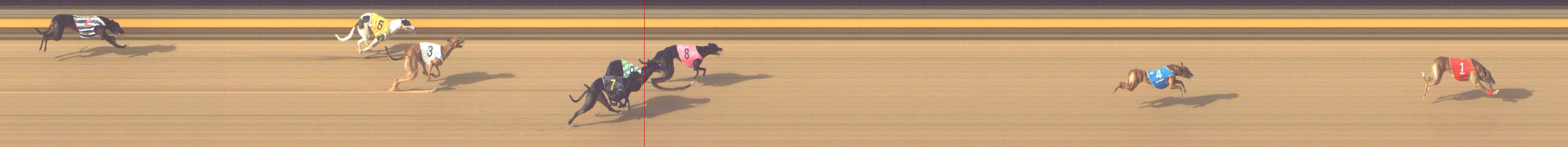 Photo finish for Shepparton Race 9