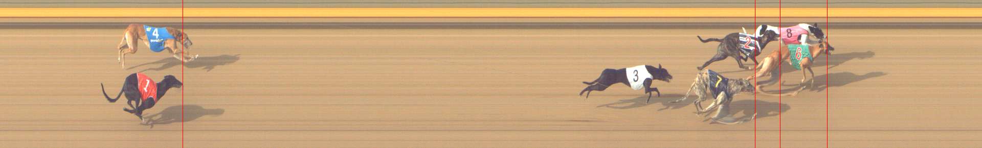 Photo finish for Shepparton Race 10