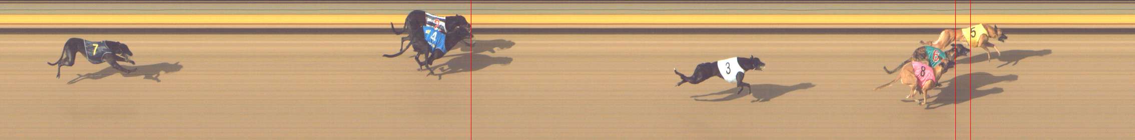 Photo finish for Shepparton Race 11