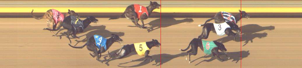 Photo finish for Shepparton Race 12
