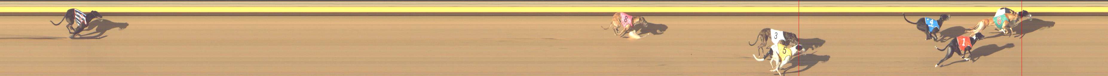 Photo finish for Shepparton Race 13