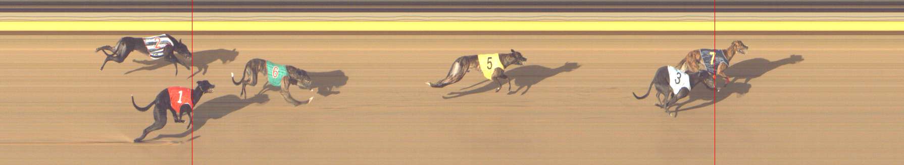 Photo finish for Shepparton Race 14