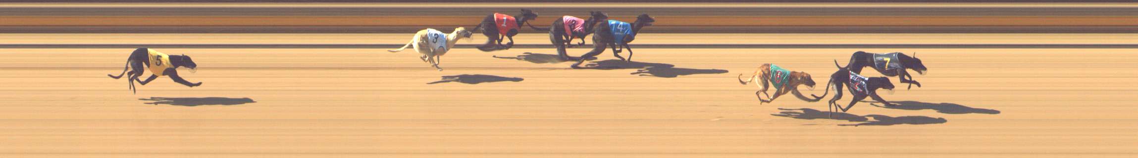 Photo finish for Shepparton Race 1