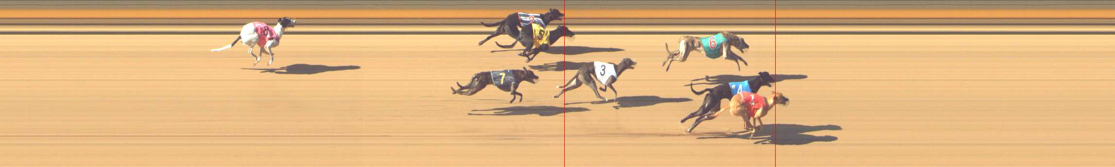 Photo finish for Shepparton Race 4