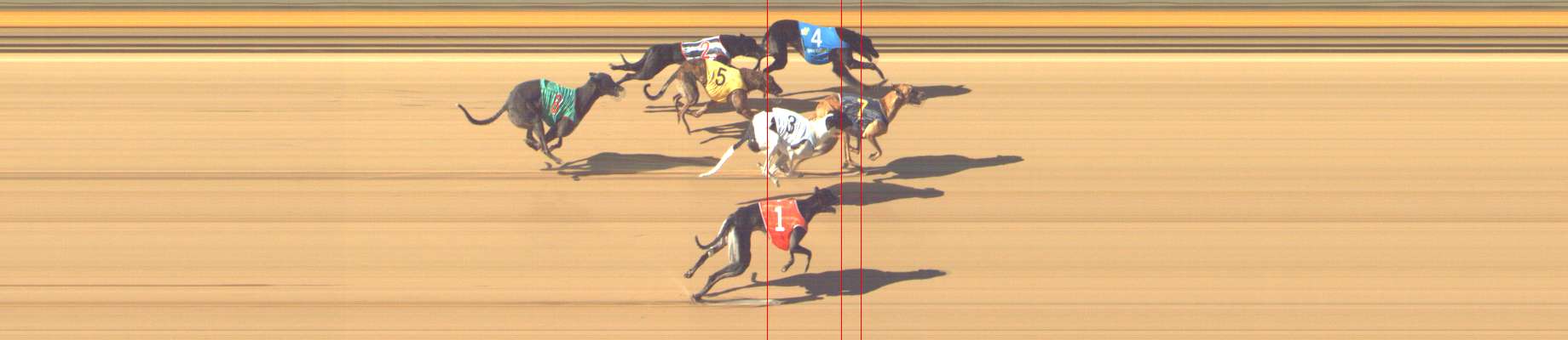Photo finish for Shepparton Race 5