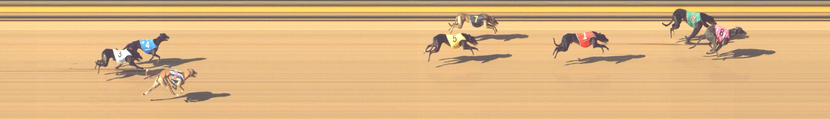 Photo finish for Shepparton Race 6