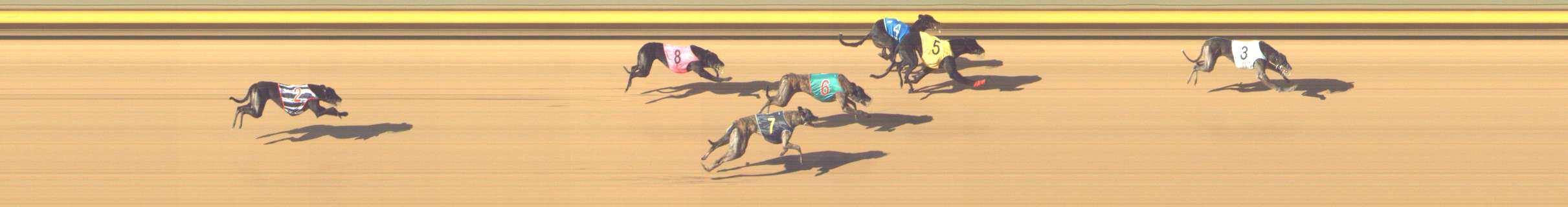 Photo finish for Shepparton Race 7
