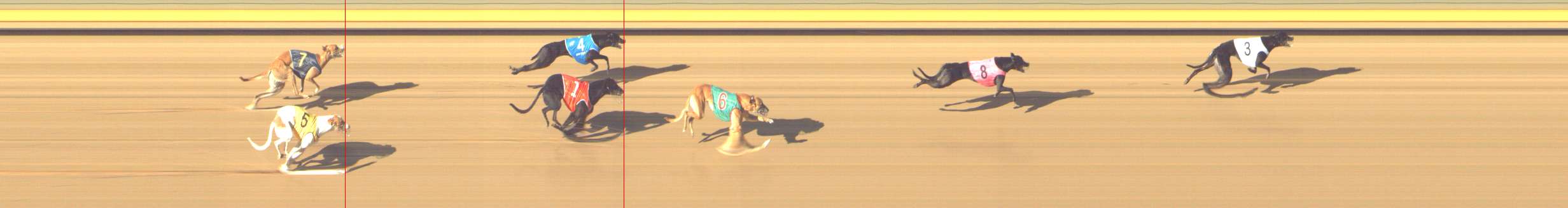 Photo finish for Shepparton Race 8