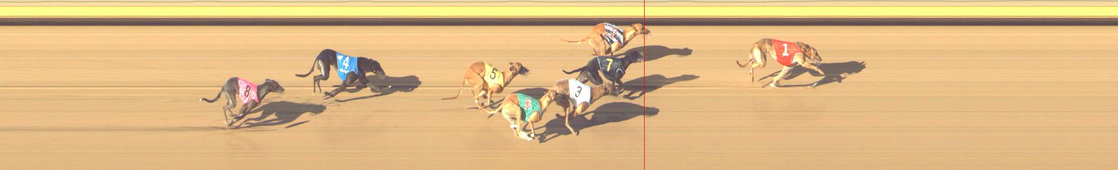 Photo finish for Shepparton Race 9