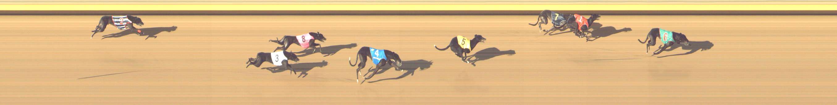 Photo finish for Shepparton Race 10