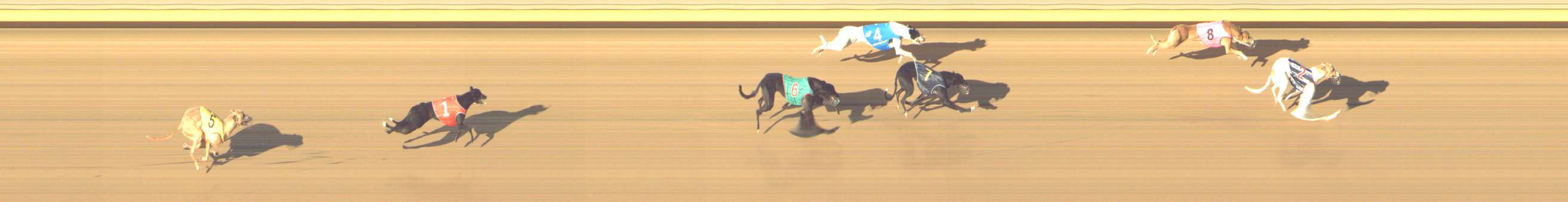Photo finish for Shepparton Race 11