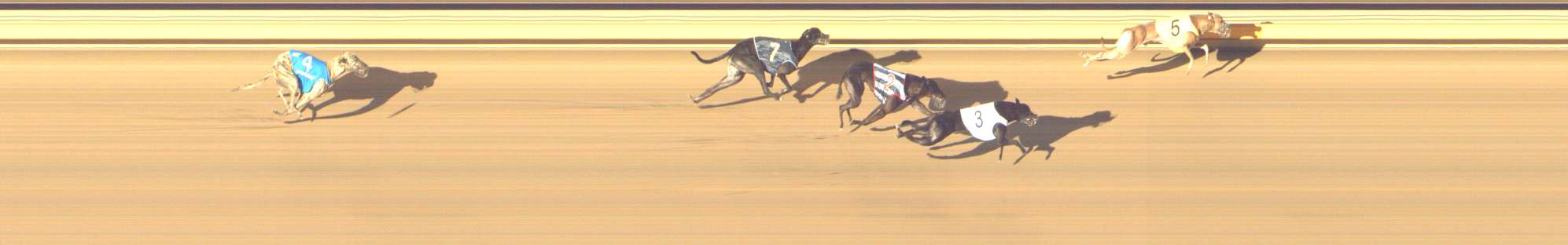 Photo finish for Shepparton Race 12