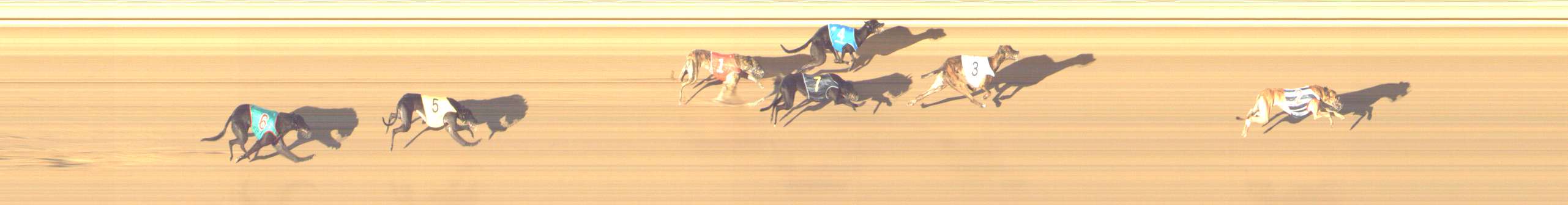 Photo finish for Shepparton Race 13