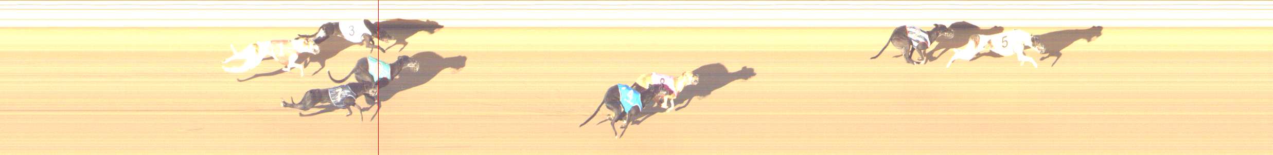 Photo finish for Shepparton Race 14