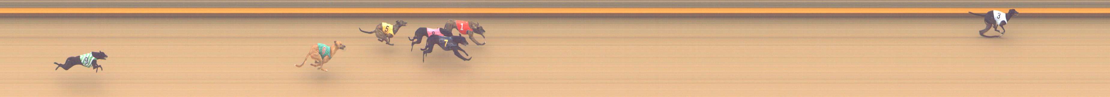 Photo finish for Shepparton Race 1