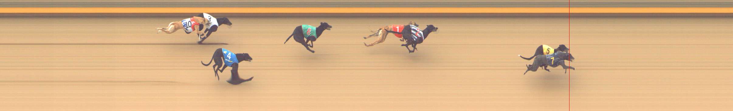 Photo finish for Shepparton Race 2