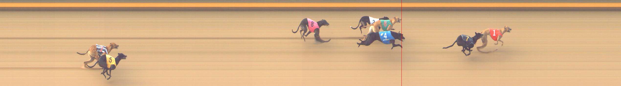 Photo finish for Shepparton Race 3