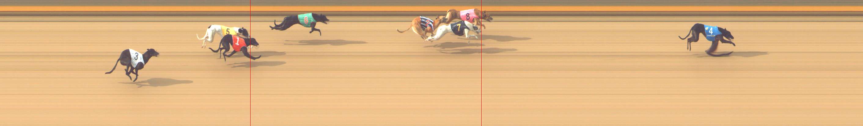 Photo finish for Shepparton Race 5
