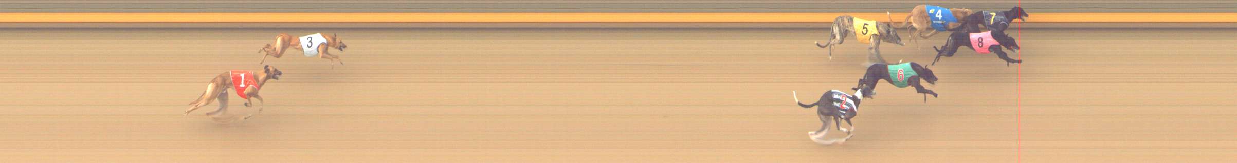 Photo finish for Shepparton Race 6
