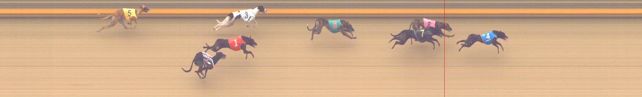Photo finish for Shepparton Race 7