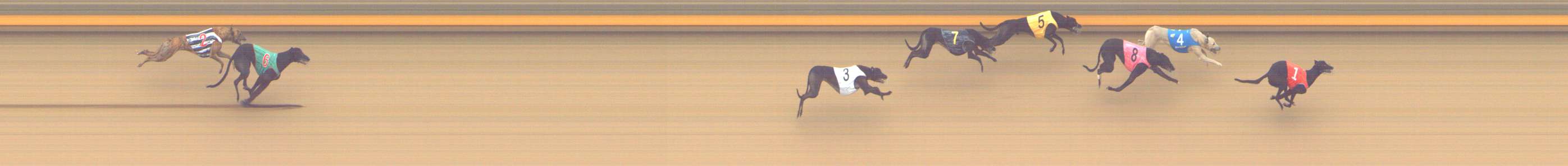 Photo finish for Shepparton Race 8