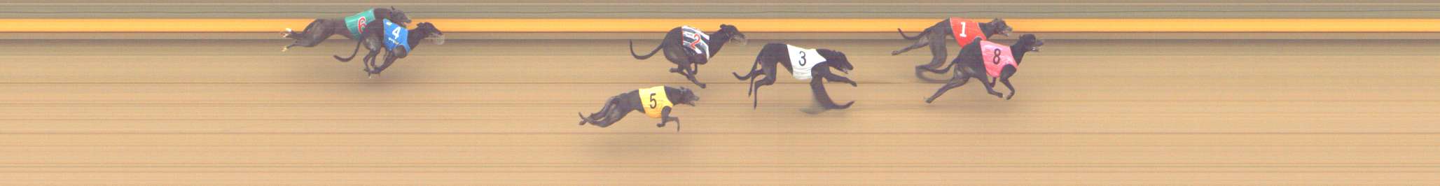 Photo finish for Shepparton Race 9