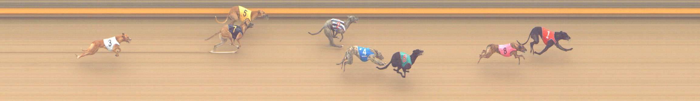 Photo finish for Shepparton Race 10