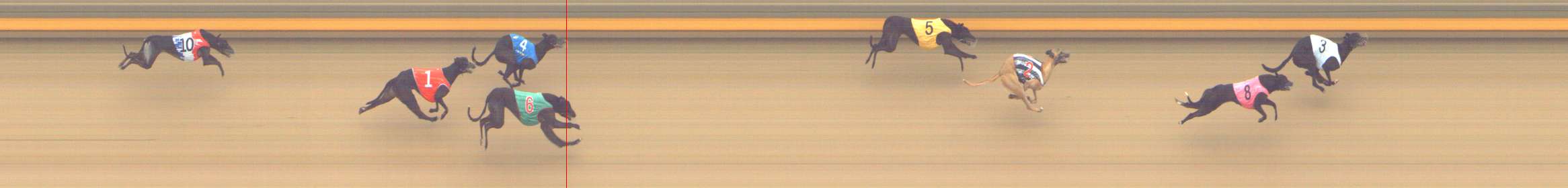 Photo finish for Shepparton Race 11