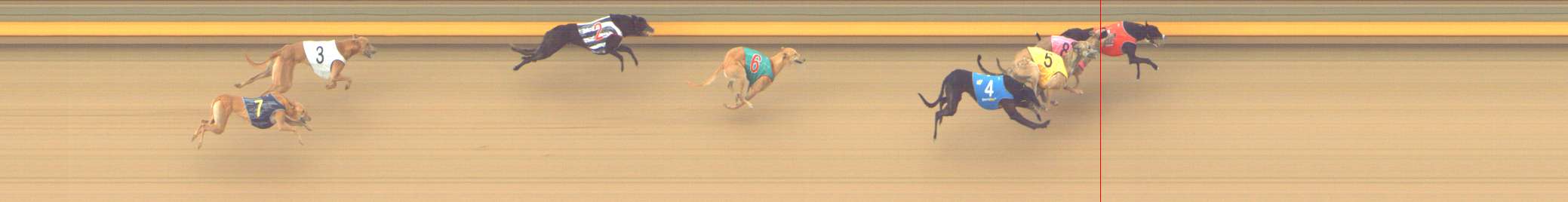 Photo finish for Shepparton Race 12