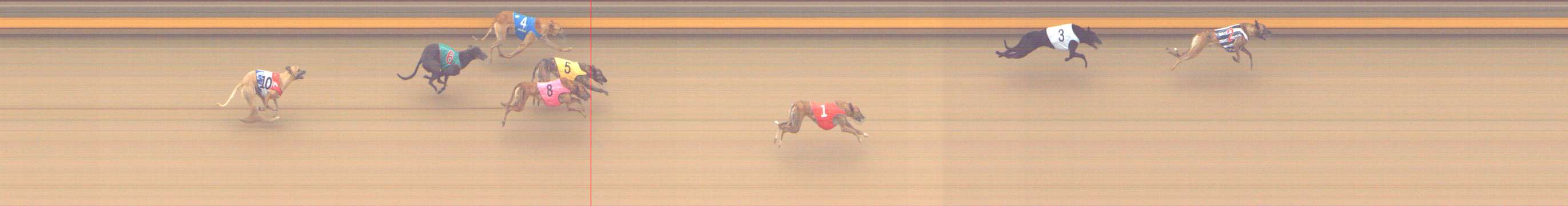 Photo finish for Shepparton Race 13