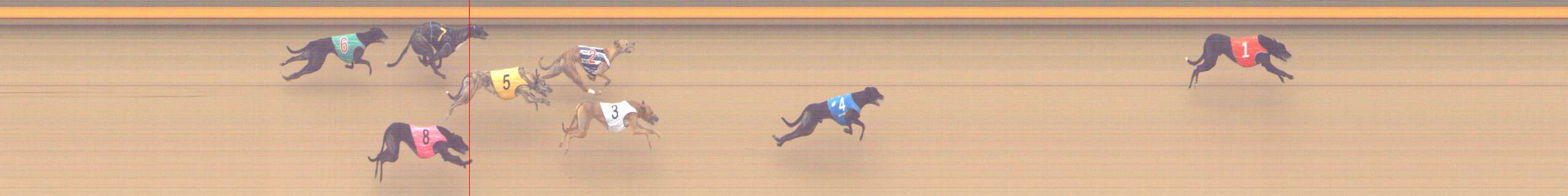 Photo finish for Shepparton Race 14