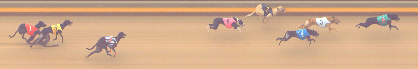 Photo finish for Shepparton Race 2