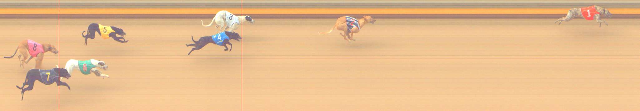 Photo finish for Shepparton Race 3