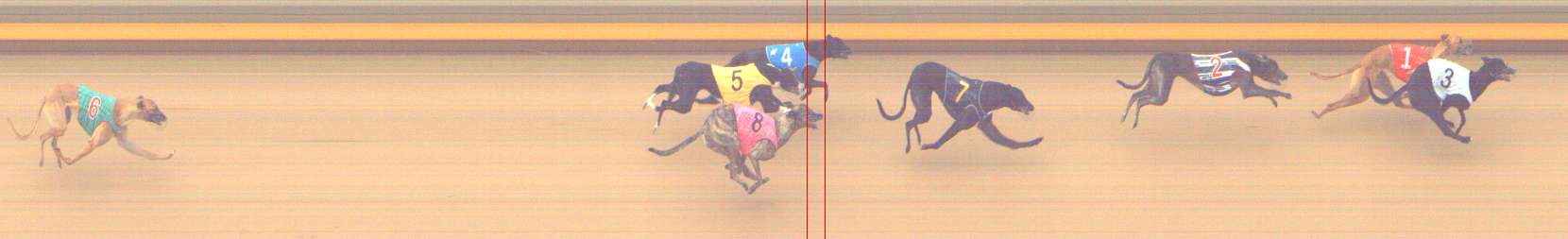 Photo finish for Shepparton Race 5