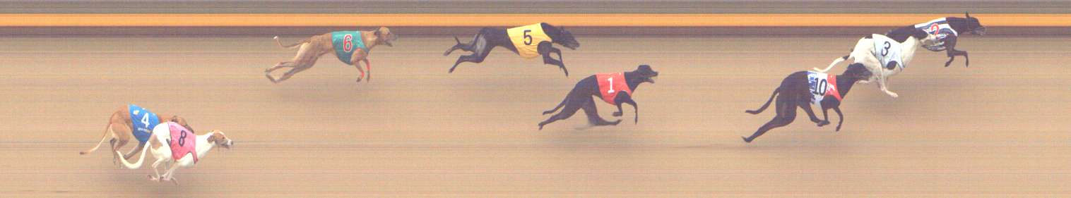 Photo finish for Shepparton Race 6