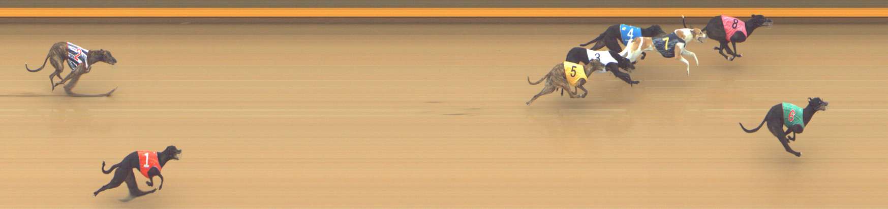 Photo finish for Shepparton Race 8