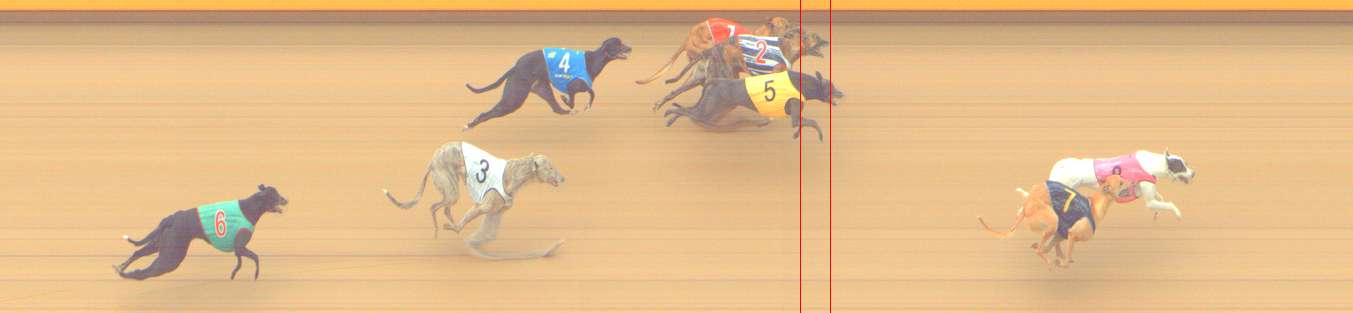 Photo finish for Shepparton Race 11