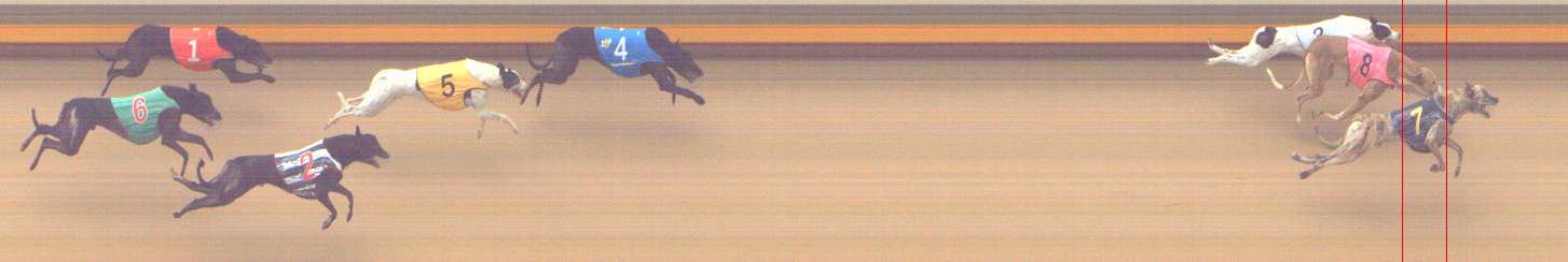 Photo finish for Shepparton Race 12