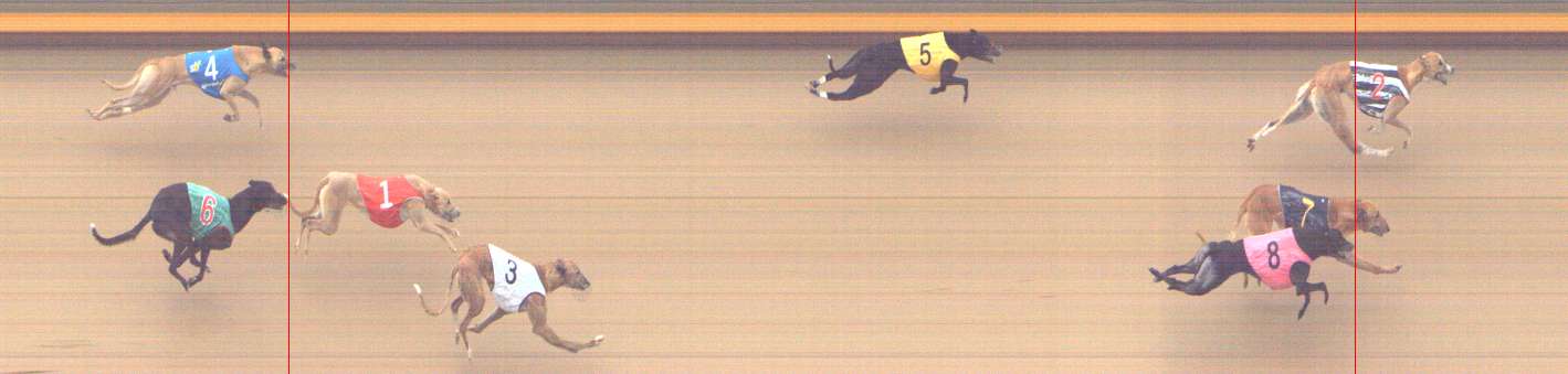 Photo finish for Shepparton Race 13