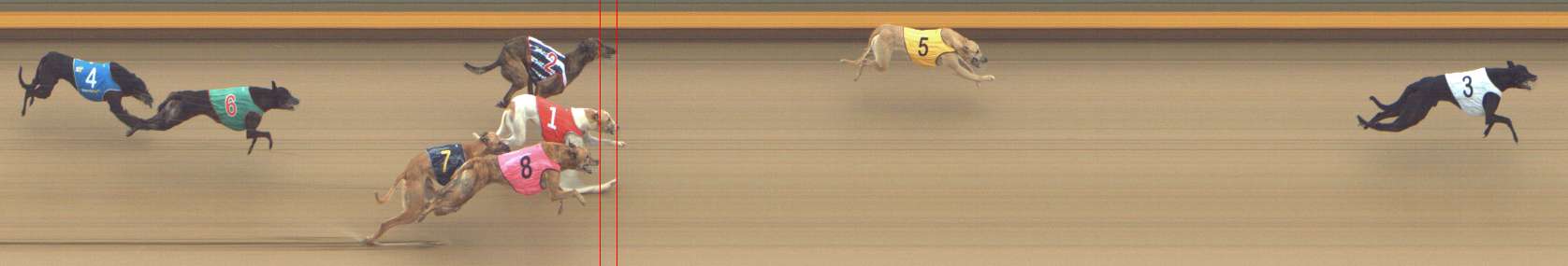 Photo finish for Shepparton Race 14