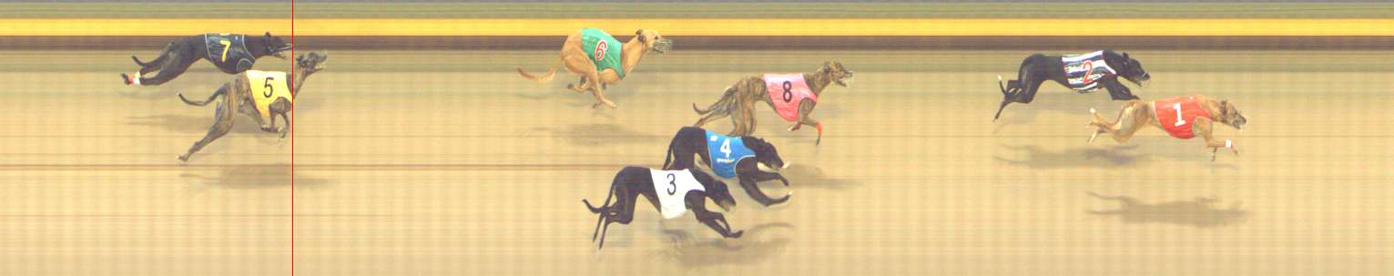 Photo finish for Shepparton Race 1