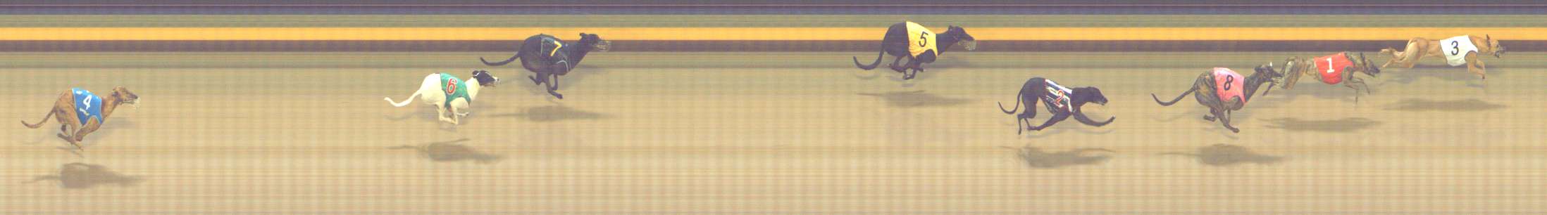 Photo finish for Shepparton Race 2