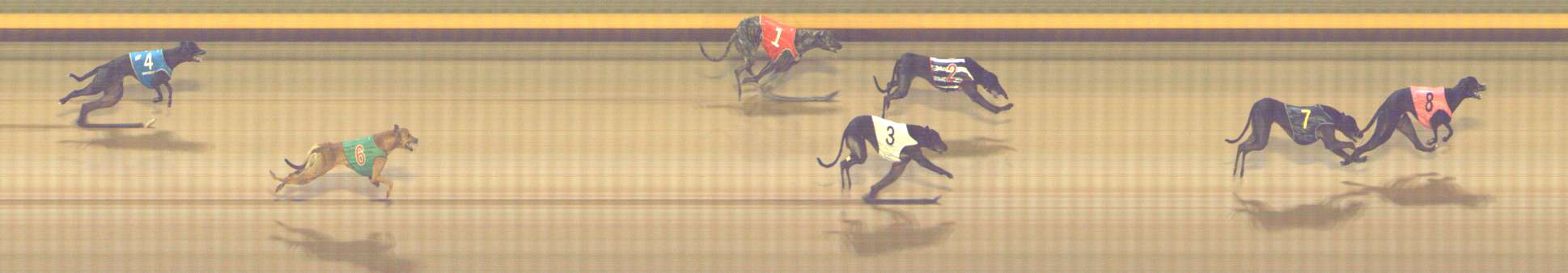 Photo finish for Shepparton Race 3