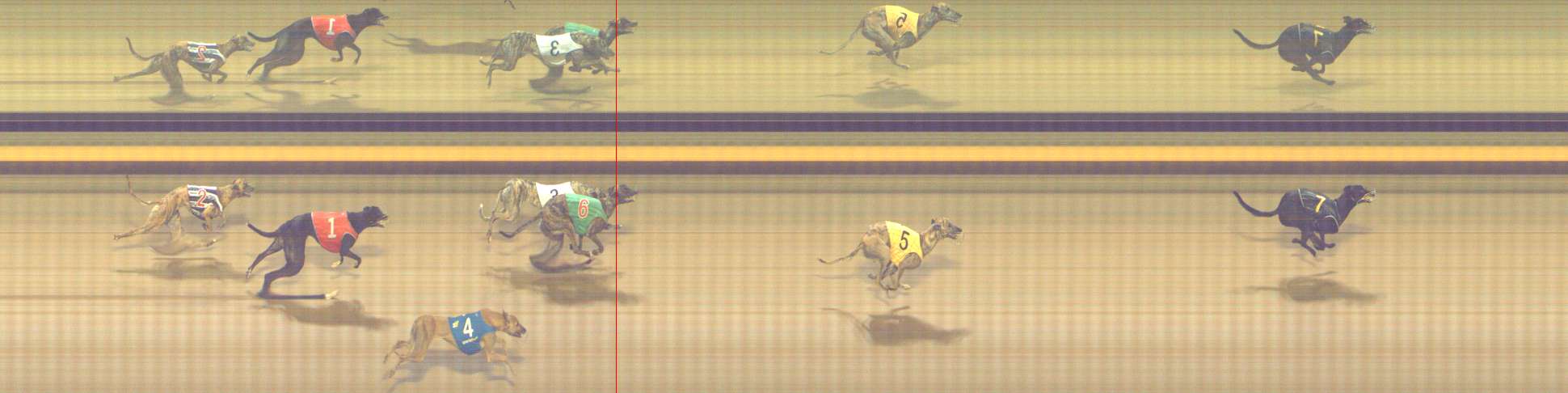 Photo finish for Shepparton Race 4