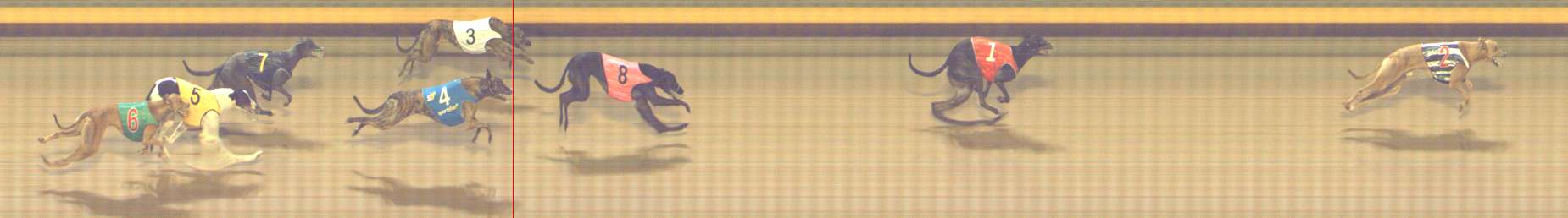 Photo finish for Shepparton Race 5