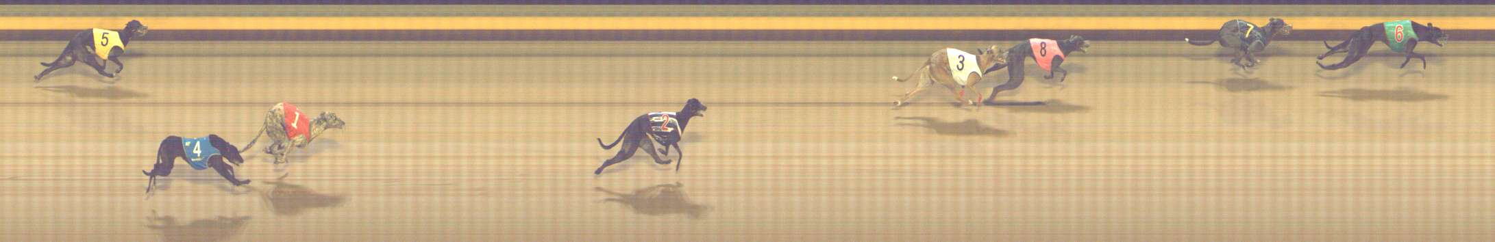 Photo finish for Shepparton Race 6