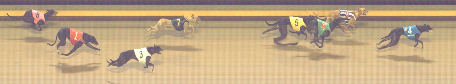 Photo finish for Shepparton Race 7