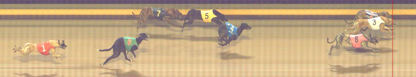 Photo finish for Shepparton Race 8